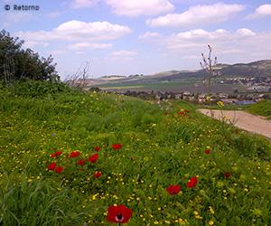 testimonial from retorno