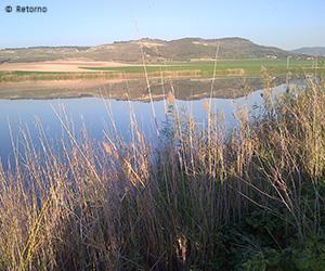 testimonial from retorno