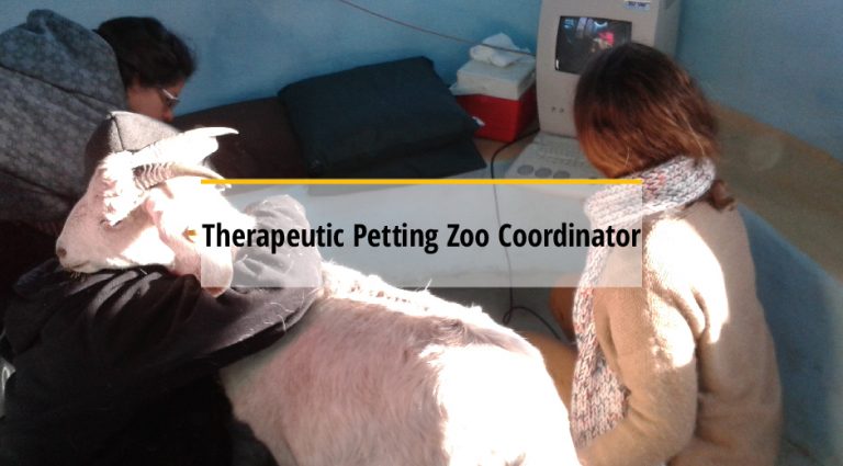 therapeutic petting zoo coordinator
