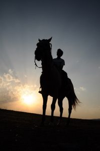 Retorno horses