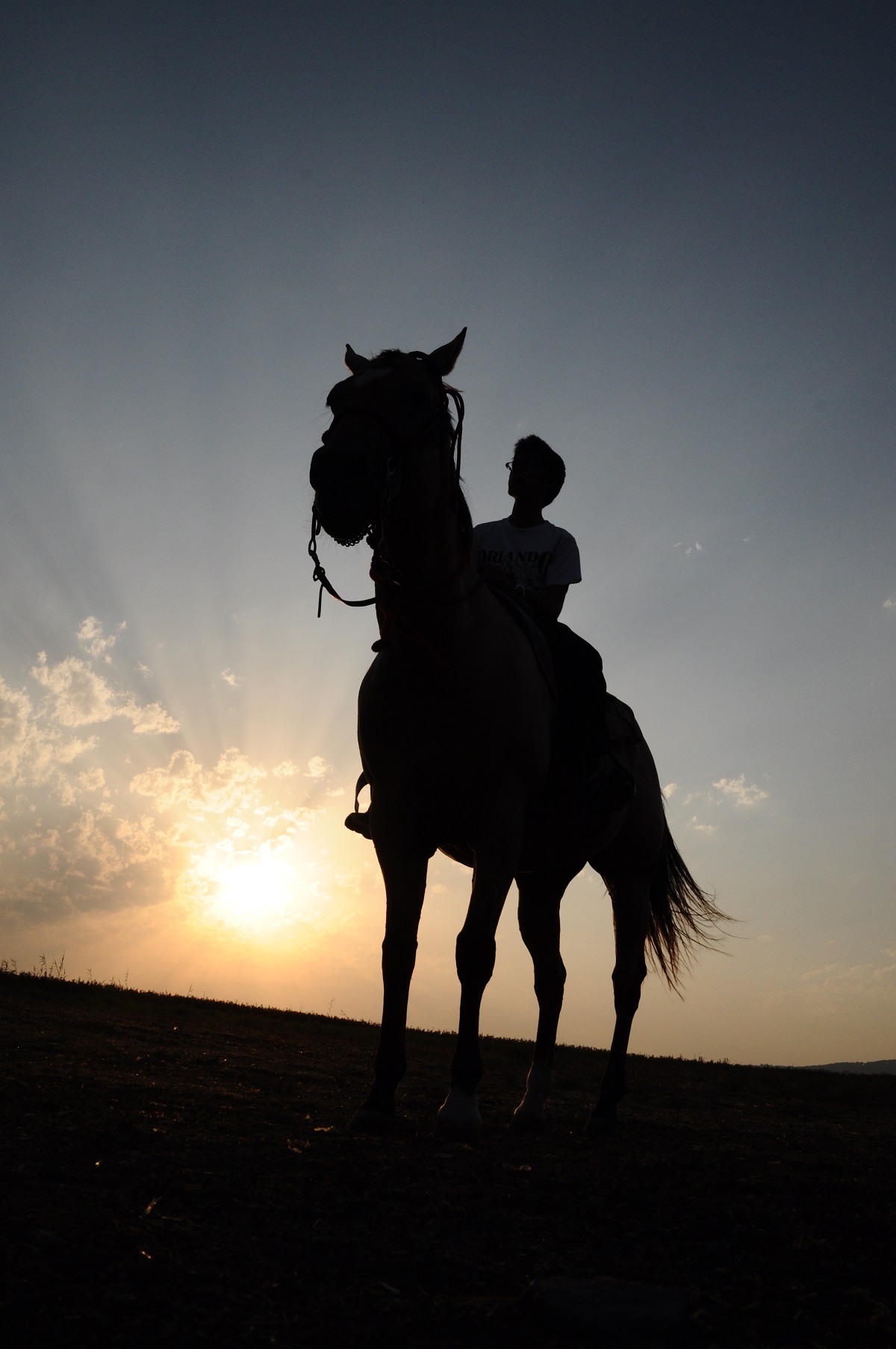 horses and addiction recovery