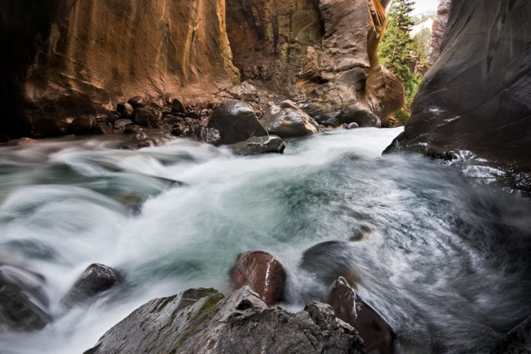 Studies have demonstrated a clear link between nature and mental health.