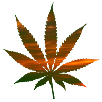 medical marijuana