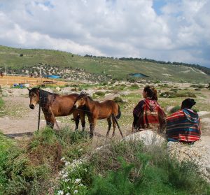 Horseback riding at Retorno