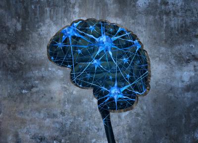 Understanding how addiction changes the brain and what happens to the brain in recovery
