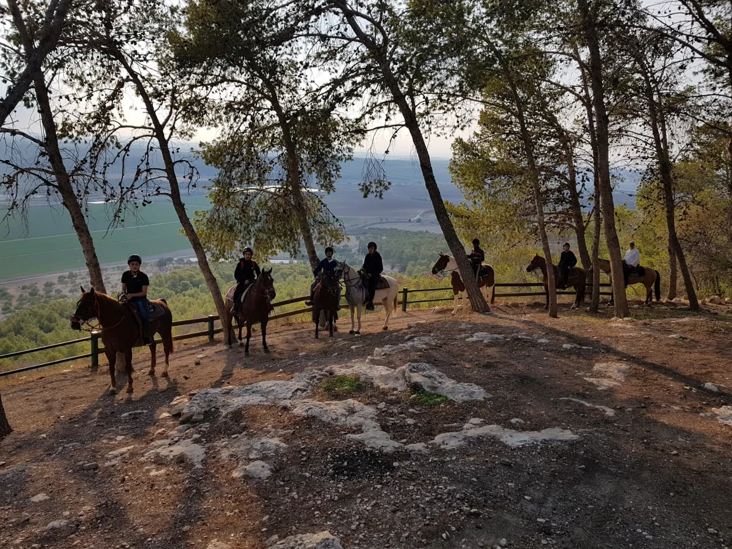 People on horseback among trees overlooking a valley